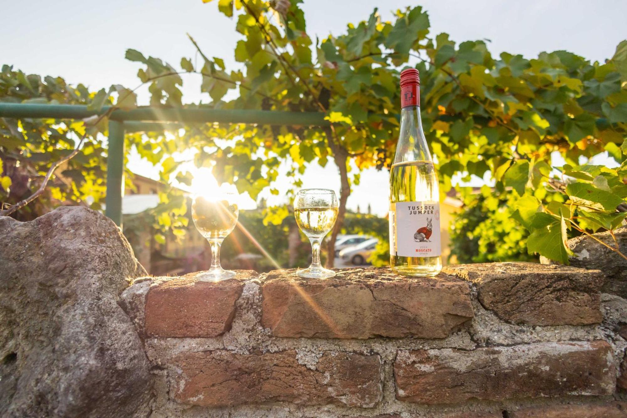 Penzion Moravska Oaza Valtice Bagian luar foto